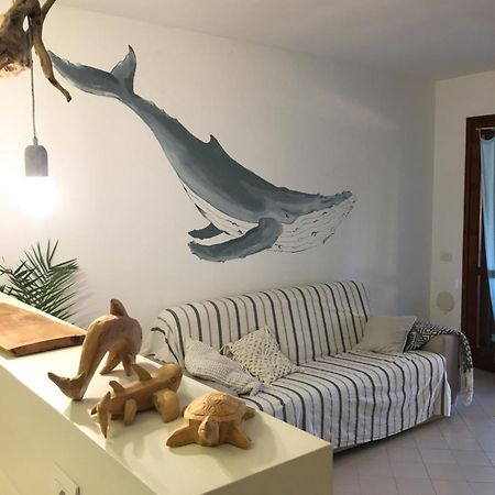 Il Bouganville A 150M Dalla Spiaggia Con Vista Sulla Splendida Baia Di Porto Raphael 팔라우 외부 사진